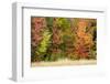 USA, Vermont, Morrisville. Lyle McKee Road, fall foliage-Alison Jones-Framed Photographic Print