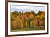 USA, Vermont, Morrisville, Stagecoach Road, fall foliage-Alison Jones-Framed Photographic Print