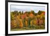 USA, Vermont, Morrisville, Stagecoach Road, fall foliage-Alison Jones-Framed Photographic Print