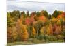 USA, Vermont, Morrisville, Stagecoach Road, fall foliage-Alison Jones-Mounted Photographic Print