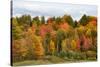 USA, Vermont, Morrisville, Stagecoach Road, fall foliage-Alison Jones-Stretched Canvas