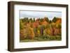 USA, Vermont, Morrisville, Stagecoach Road, fall foliage-Alison Jones-Framed Photographic Print