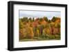 USA, Vermont, Morrisville, Stagecoach Road, fall foliage-Alison Jones-Framed Photographic Print