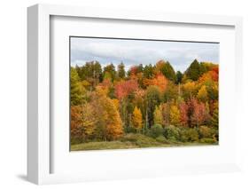 USA, Vermont, Morrisville, Stagecoach Road, fall foliage-Alison Jones-Framed Photographic Print