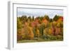 USA, Vermont, Morrisville, Stagecoach Road, fall foliage-Alison Jones-Framed Photographic Print