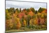 USA, Vermont, Morrisville, Stagecoach Road, fall foliage-Alison Jones-Mounted Photographic Print