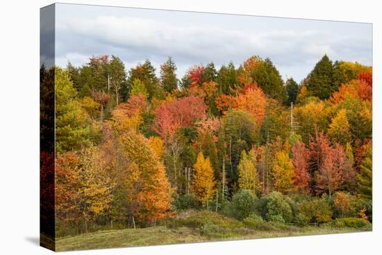 USA, Vermont, Morrisville, Stagecoach Road, fall foliage-Alison Jones-Stretched Canvas
