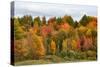 USA, Vermont, Morrisville, Stagecoach Road, fall foliage-Alison Jones-Stretched Canvas