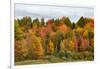 USA, Vermont, Morrisville, Stagecoach Road, fall foliage-Alison Jones-Framed Photographic Print