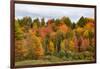 USA, Vermont, Morrisville, Stagecoach Road, fall foliage-Alison Jones-Framed Photographic Print