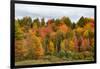 USA, Vermont, Morrisville, Stagecoach Road, fall foliage-Alison Jones-Framed Photographic Print