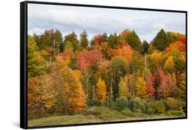 USA, Vermont, Morrisville, Stagecoach Road, fall foliage-Alison Jones-Framed Stretched Canvas