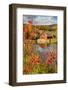 USA, Vermont, Moscow, mill on Little River pond there, fall foliage-Alison Jones-Framed Photographic Print