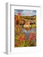 USA, Vermont, Moscow, mill on Little River pond there, fall foliage-Alison Jones-Framed Photographic Print