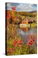 USA, Vermont, Moscow, mill on Little River pond there, fall foliage-Alison Jones-Stretched Canvas
