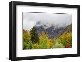 USA, Vermont, New England, Stowe Mt. Mansfield parking lot view with fog on mountains-Alison Jones-Framed Photographic Print