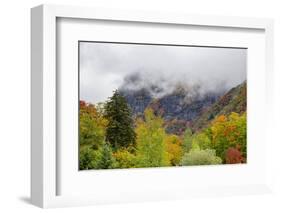 USA, Vermont, New England, Stowe Mt. Mansfield parking lot view with fog on mountains-Alison Jones-Framed Photographic Print