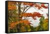 USA, Vermont, New England, Stowe Mt. Mansfield parking lot view-Alison Jones-Framed Stretched Canvas