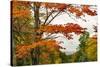 USA, Vermont, New England, Stowe Mt. Mansfield parking lot view-Alison Jones-Stretched Canvas