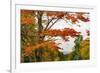 USA, Vermont, New England, Stowe Mt. Mansfield parking lot view-Alison Jones-Framed Photographic Print