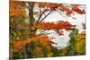 USA, Vermont, New England, Stowe Mt. Mansfield parking lot view-Alison Jones-Mounted Photographic Print