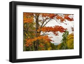 USA, Vermont, New England, Stowe Mt. Mansfield parking lot view-Alison Jones-Framed Photographic Print