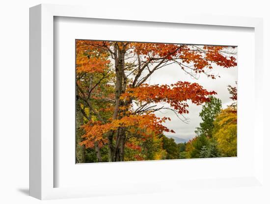 USA, Vermont, New England, Stowe Mt. Mansfield parking lot view-Alison Jones-Framed Photographic Print