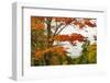 USA, Vermont, New England, Stowe Mt. Mansfield parking lot view-Alison Jones-Framed Photographic Print