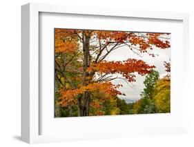 USA, Vermont, New England, Stowe Mt. Mansfield parking lot view-Alison Jones-Framed Photographic Print