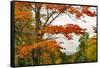 USA, Vermont, New England, Stowe Mt. Mansfield parking lot view-Alison Jones-Framed Stretched Canvas