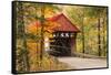 USA, Vermont, Stowe, Sterling Valley Road covered bridge in fall foliage-Alison Jones-Framed Stretched Canvas