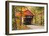 USA, Vermont, Stowe, Sterling Valley Road covered bridge in fall foliage-Alison Jones-Framed Photographic Print