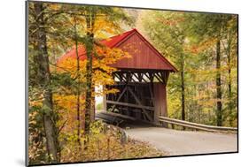 USA, Vermont, Stowe, Sterling Valley Road covered bridge in fall foliage-Alison Jones-Mounted Photographic Print