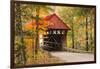 USA, Vermont, Stowe, Sterling Valley Road covered bridge in fall foliage-Alison Jones-Framed Photographic Print