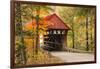 USA, Vermont, Stowe, Sterling Valley Road covered bridge in fall foliage-Alison Jones-Framed Photographic Print