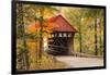 USA, Vermont, Stowe, Sterling Valley Road covered bridge in fall foliage-Alison Jones-Framed Photographic Print