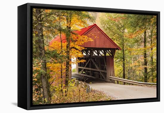 USA, Vermont, Stowe, Sterling Valley Road covered bridge in fall foliage-Alison Jones-Framed Stretched Canvas