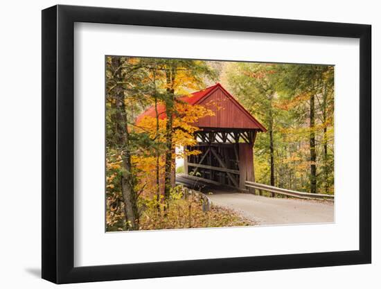 USA, Vermont, Stowe, Sterling Valley Road covered bridge in fall foliage-Alison Jones-Framed Photographic Print