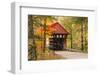 USA, Vermont, Stowe, Sterling Valley Road covered bridge in fall foliage-Alison Jones-Framed Photographic Print