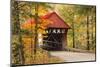 USA, Vermont, Stowe, Sterling Valley Road covered bridge in fall foliage-Alison Jones-Mounted Photographic Print