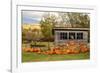 USA, Vermont, Stowe, West Hill Rd, pumpkin field-Alison Jones-Framed Photographic Print