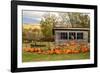 USA, Vermont, Stowe, West Hill Rd, pumpkin field-Alison Jones-Framed Photographic Print