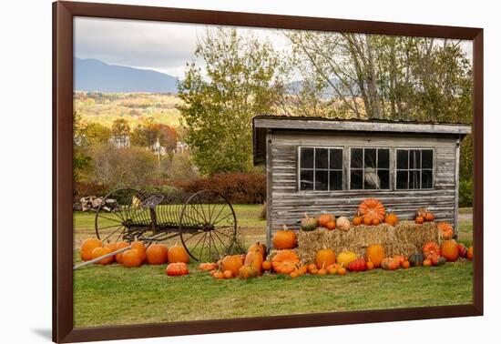 USA, Vermont, Stowe, West Hill Rd, pumpkin field-Alison Jones-Framed Photographic Print