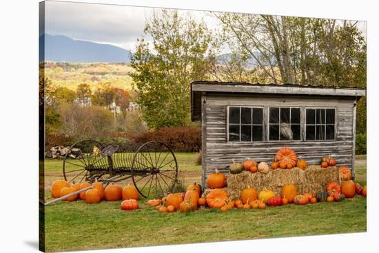 USA, Vermont, Stowe, West Hill Rd, pumpkin field-Alison Jones-Stretched Canvas