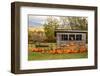 USA, Vermont, Stowe, West Hill Rd, pumpkin field-Alison Jones-Framed Photographic Print