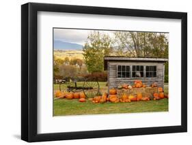 USA, Vermont, Stowe, West Hill Rd, pumpkin field-Alison Jones-Framed Photographic Print