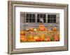 USA, Vermont, Stowe, West Hill Rd, pumpkin field-Alison Jones-Framed Photographic Print