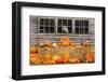 USA, Vermont, Stowe, West Hill Rd, pumpkin field-Alison Jones-Framed Photographic Print