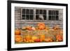 USA, Vermont, Stowe, West Hill Rd, pumpkin field-Alison Jones-Framed Photographic Print