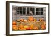 USA, Vermont, Stowe, West Hill Rd, pumpkin field-Alison Jones-Framed Photographic Print